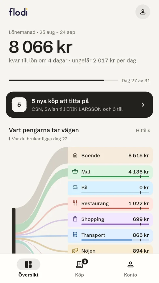 The overview shows what is left until payday and roughly how much per day.